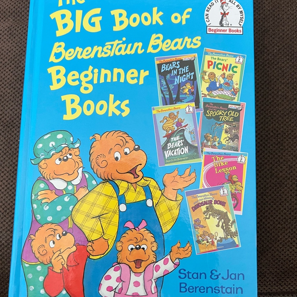 Beginner reading book